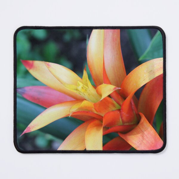 Item preview, Guzmania Bromeliad Flower Bloom designed and sold by Corey Ford.