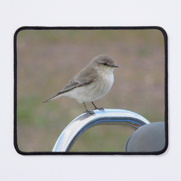 Item preview, Jacky Winter Bird on Motorcycle Bar designed and sold by StephanieWie27.