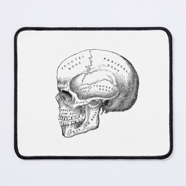 Item preview, Skull 2.0 designed and sold by michaelwpg.