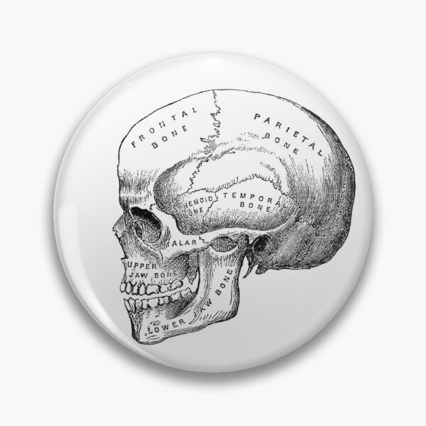 Item preview, Skull 2.0 designed and sold by michaelwpg.