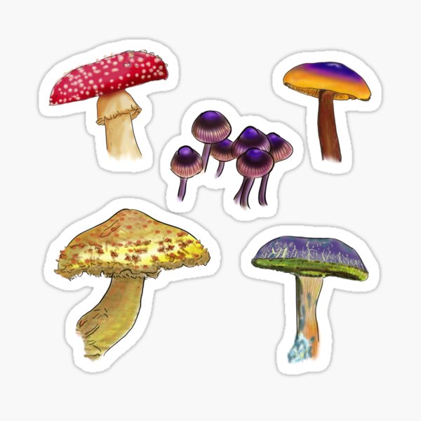 Mushroom multitude in colorful variety Sticker