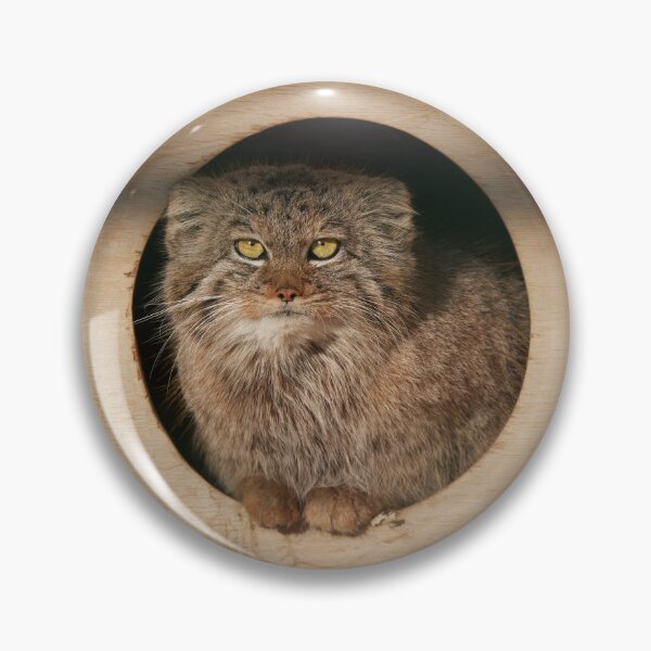 Item preview, Pepe the Pallas's cat designed and sold by Manulization.