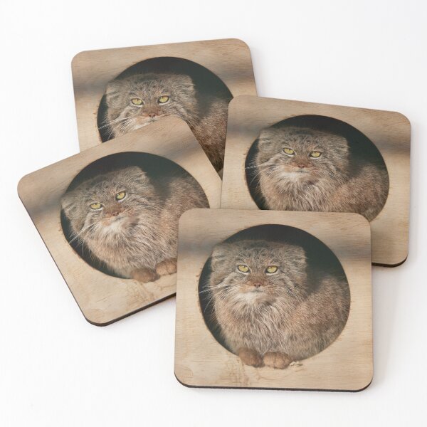 Item preview, Pepe the Pallas's cat designed and sold by Manulization.