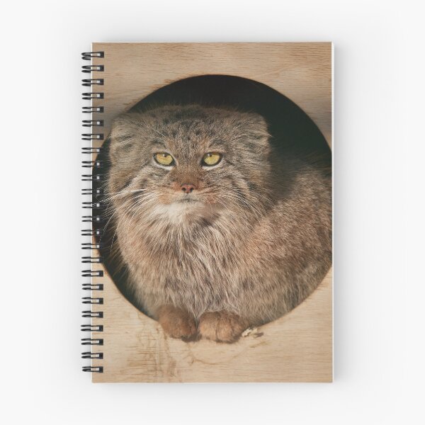 Item preview, Pepe the Pallas's cat designed and sold by Manulization.