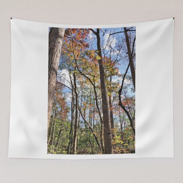 Item preview, Fall Colors In A Florida Forest designed and sold by jtrommer.