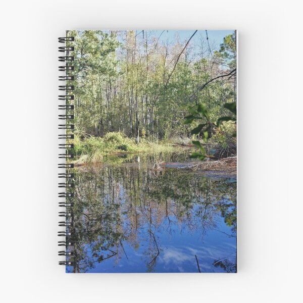 Item preview, Brooker Creek Headwaters - Florida designed and sold by jtrommer.