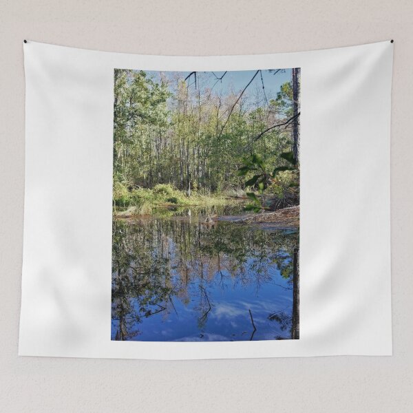 Item preview, Brooker Creek Headwaters - Florida designed and sold by jtrommer.