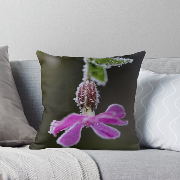 Item preview, Red Catchfly on Ice designed and sold by cuprum.