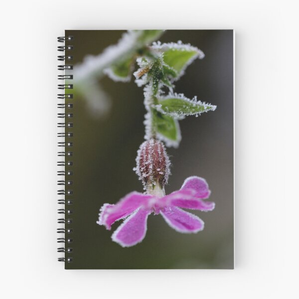 Item preview, Red Catchfly on Ice designed and sold by cuprum.