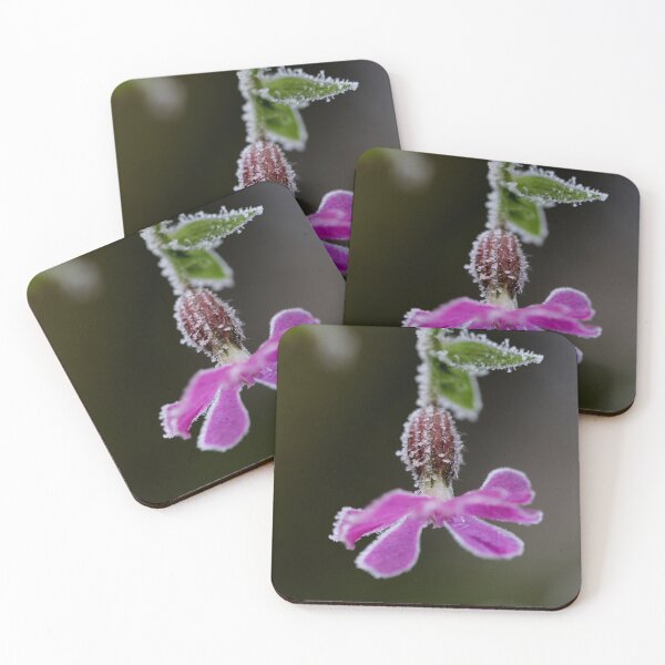 Item preview, Red Catchfly on Ice designed and sold by cuprum.