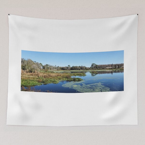 Item preview, A Florida Lake Panorama designed and sold by jtrommer.