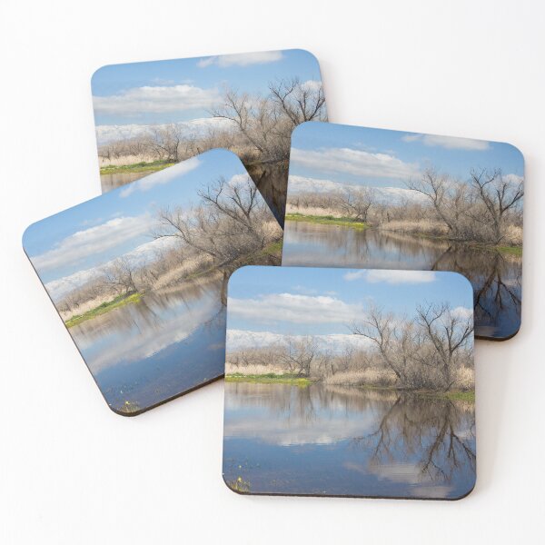 Item preview, A Beautiful Southern California Winter designed and sold by CarolM.