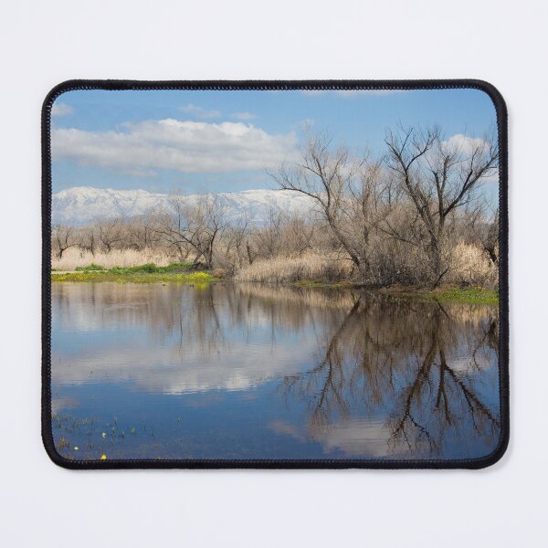 Item preview, A Beautiful Southern California Winter designed and sold by CarolM.