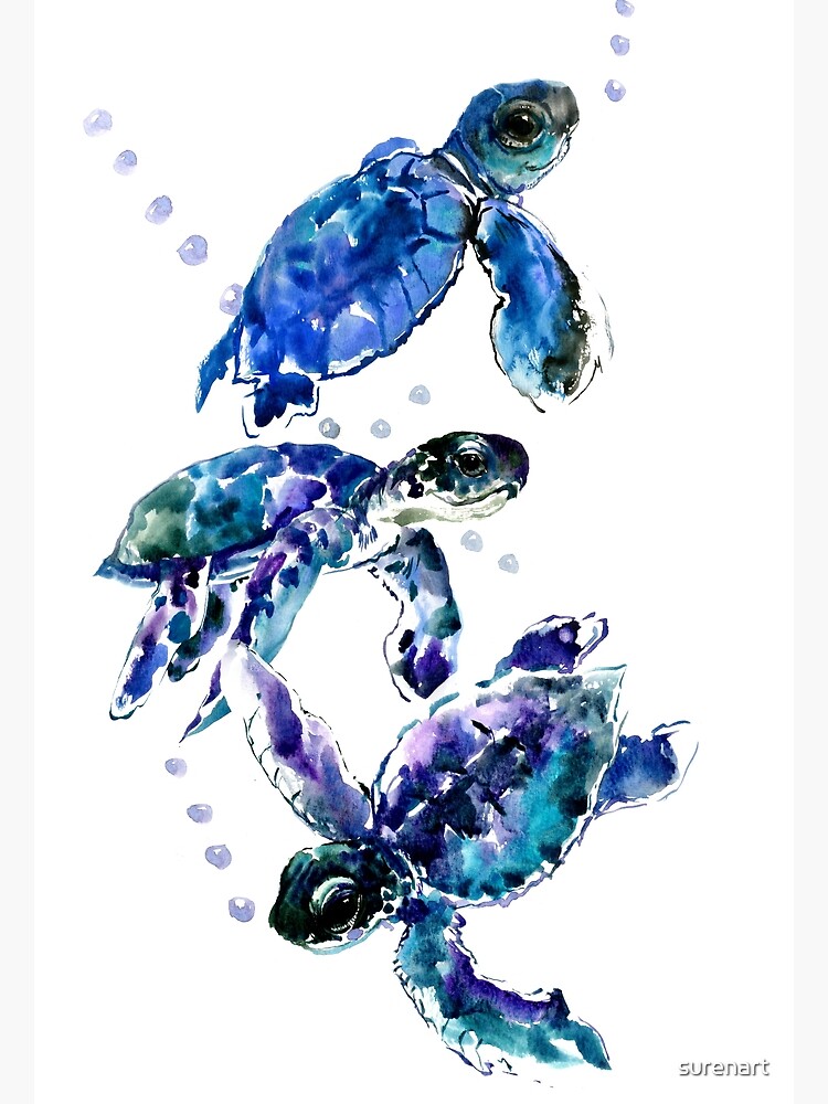 Three top Turtle Hatchlings Prints - Blue