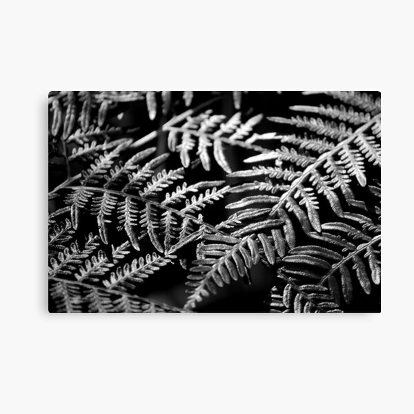 Intertwine: To join or become joined... Canvas Print