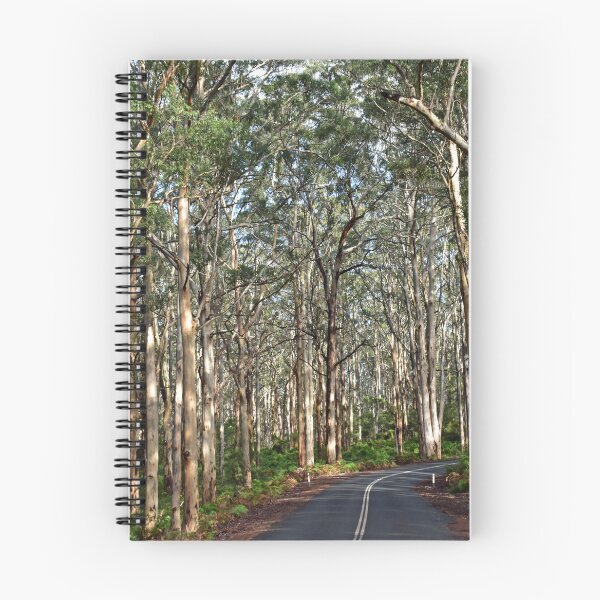 Item preview, Boranup Forest  designed and sold by Rainbow Farm Photography.