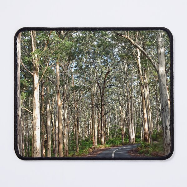 Item preview, Boranup Forest  designed and sold by Rainbow Farm Photography.