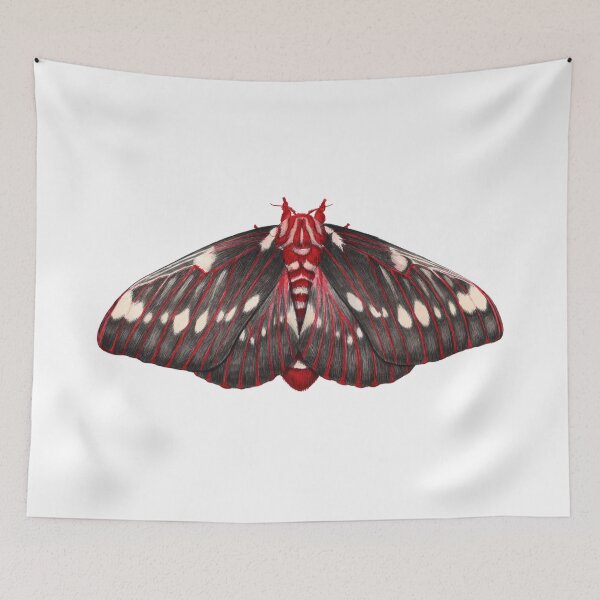 Item preview, Splendid Royal Moth (Citheronia splendens) designed and sold by JadaFitch.