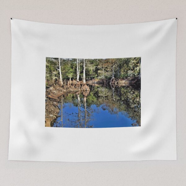 Item preview, Reflections Along A Quiet River 1 - Florida designed and sold by jtrommer.