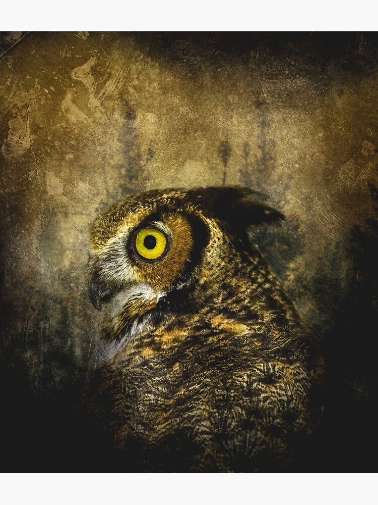 Great Horned Owl by tinabellvance