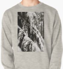 Draped in Splendor Pullover