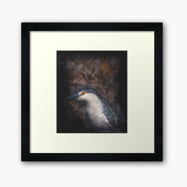 Night Heron Framed Art Print