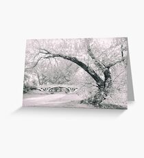 Gothic Bridge 28 Greeting Card