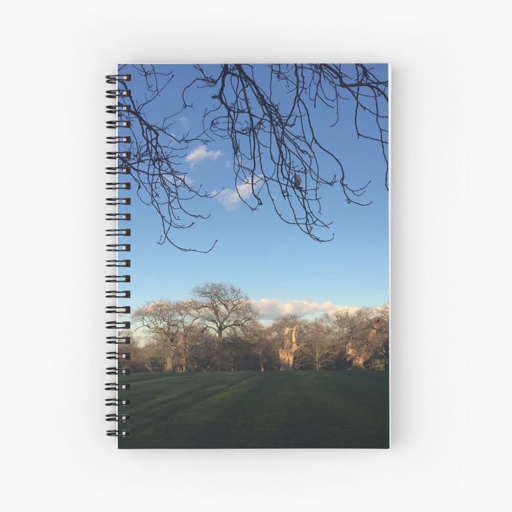 Item preview, Spiral Notebook designed and sold by adamayokuy.