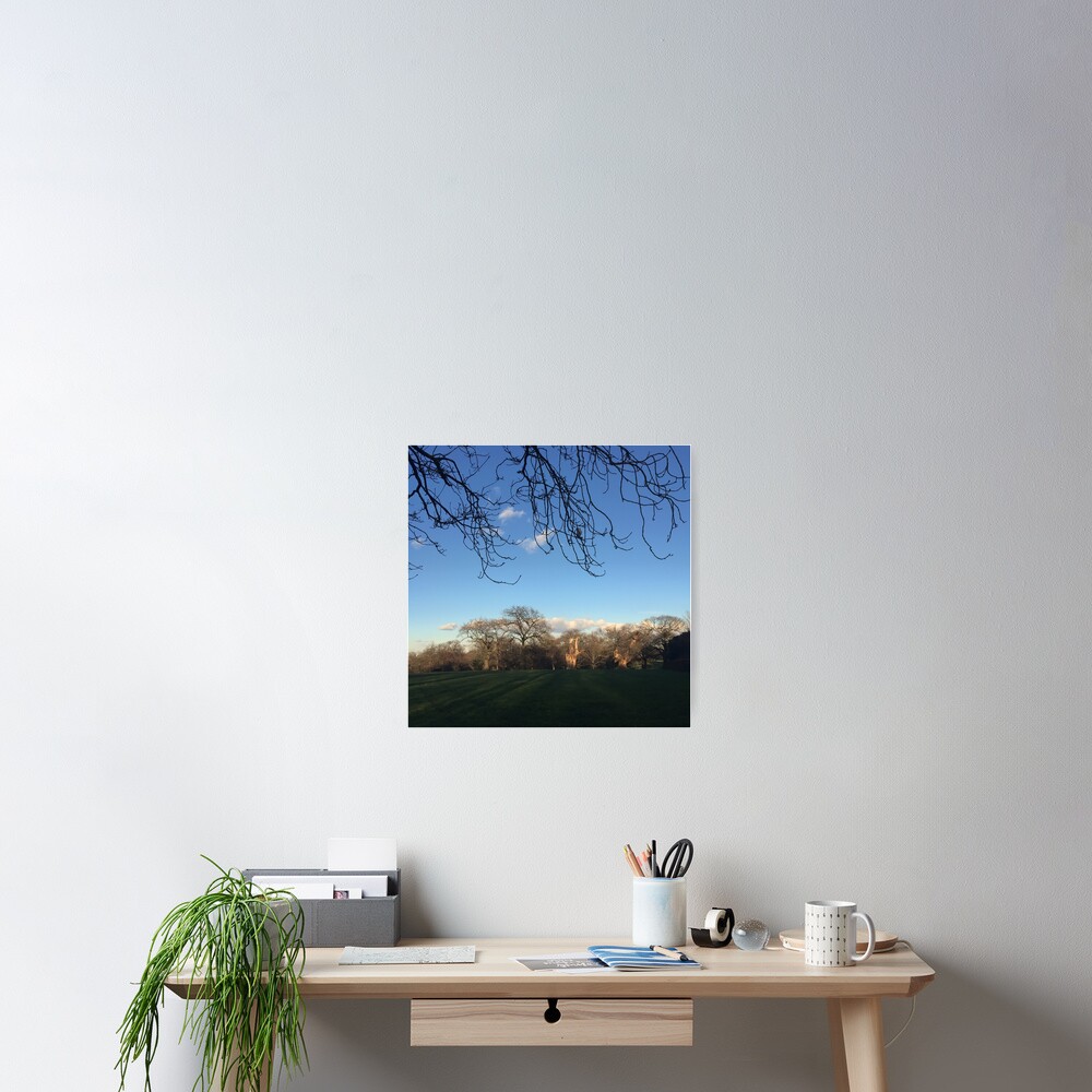 Item preview, Poster designed and sold by adamayokuy.