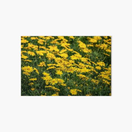 Yellow Flower Patch Art Board Print