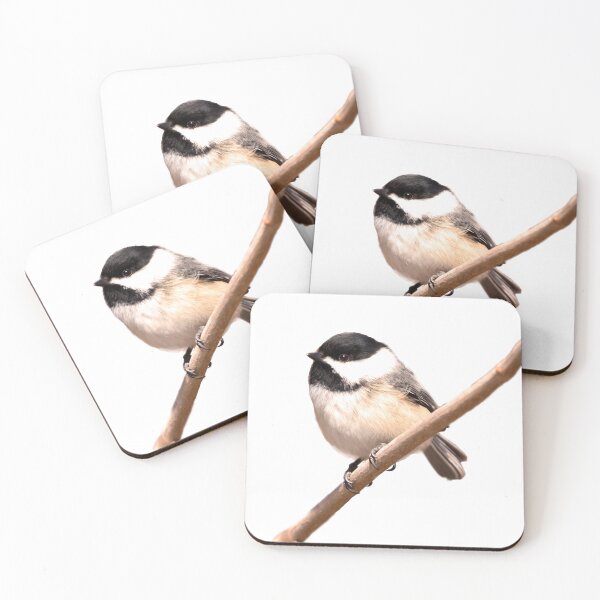 Item preview, Black capped chickadee bird perching designed and sold by KRFNatureGifts.