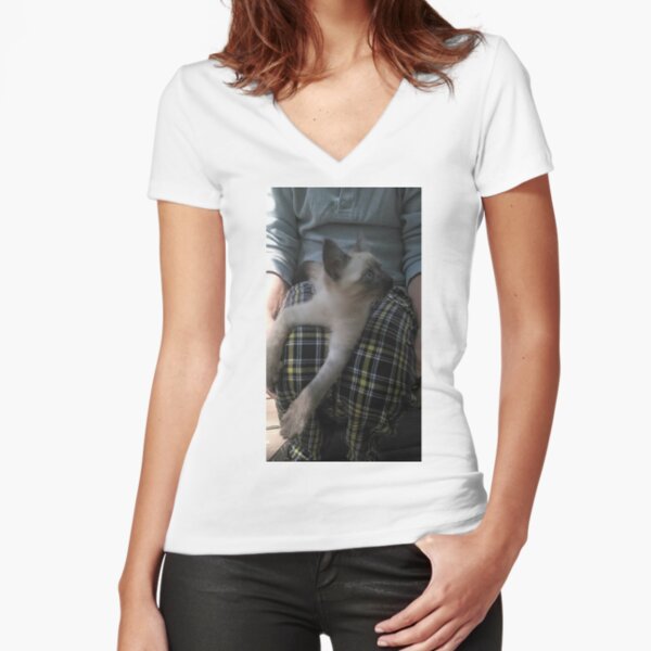 Lap Cat Fitted V-Neck T-Shirt