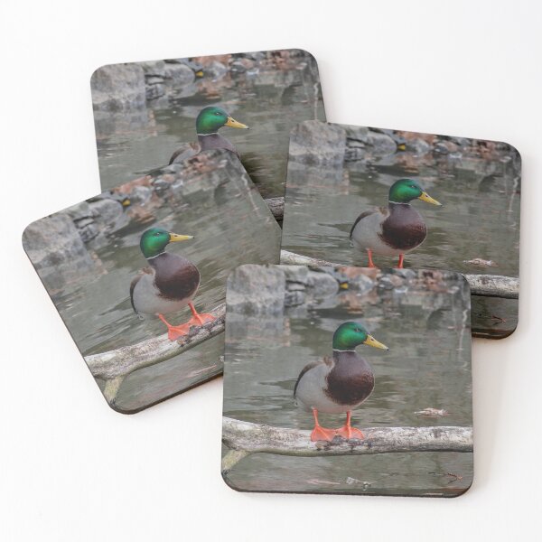 Item preview, Mister Mallard designed and sold by Lanis Rossi.