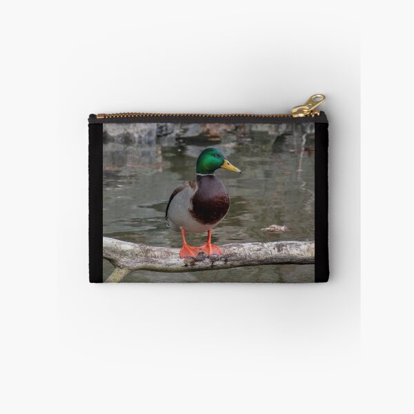 Item preview, Mister Mallard designed and sold by Lanis Rossi.