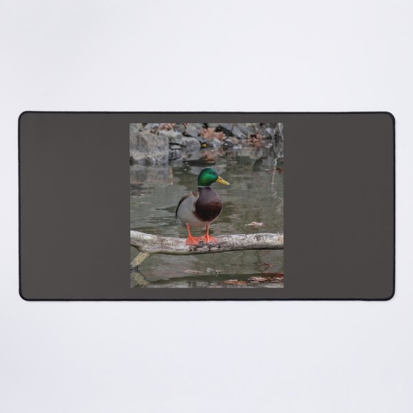 Item preview, Mister Mallard designed and sold by Lanis Rossi.