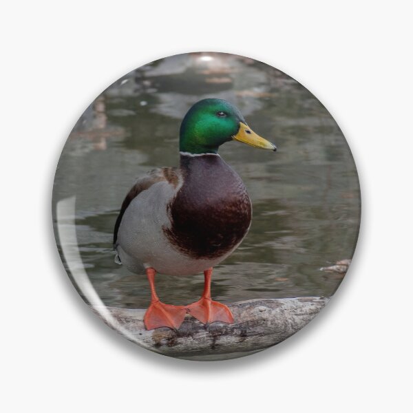 Item preview, Mister Mallard designed and sold by Lanis Rossi.