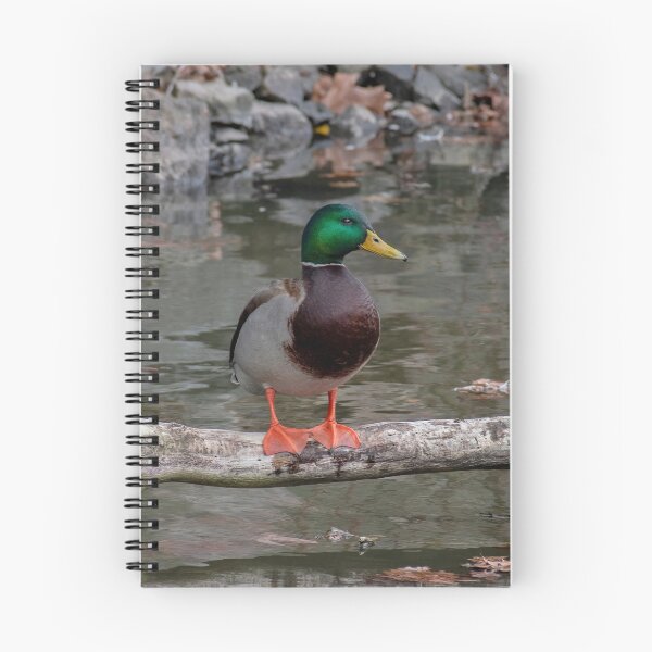 Item preview, Mister Mallard designed and sold by Lanis Rossi.