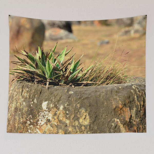 Item preview, Laos - Phonsavan, Plain of Jars designed and sold by franck380.