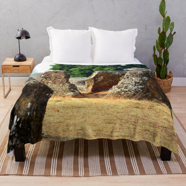 Item preview, Laos - Phonsavan, Plain of Jars designed and sold by franck380.