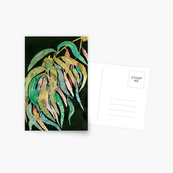 Australian gum in color deep green background Postcard