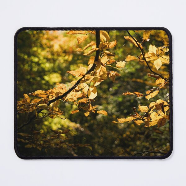 Item preview, Gold Leaves in the Forest designed and sold by Chutneey.