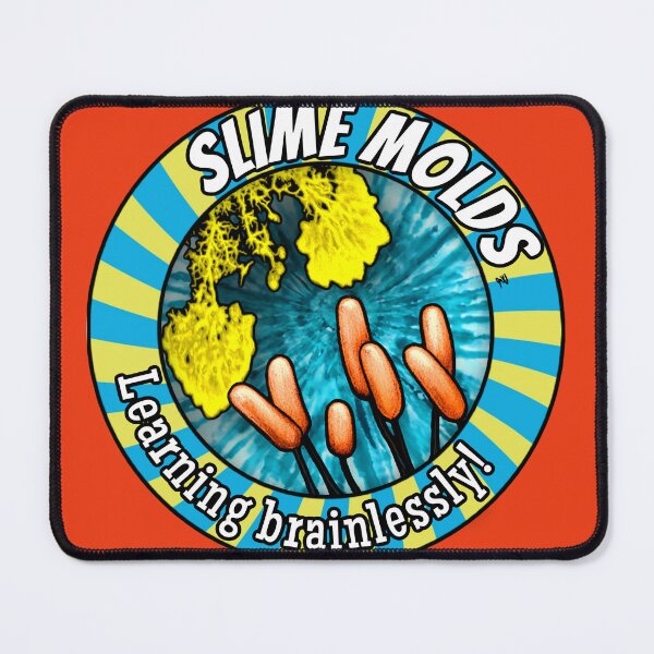 Item preview, Slime Molds: Learning Brainlessly! designed and sold by FreyStrandDraws.