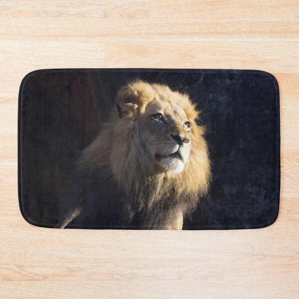 Item preview, Pensive Majesty designed and sold by Autumn Seas Photography.