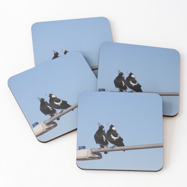 Item preview, Magpies on a street light singing designed and sold by Callumsphotos.