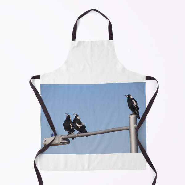Item preview, Magpies on a street light singing designed and sold by Callumsphotos.