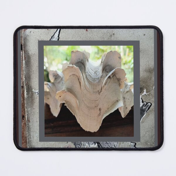Item preview, Giant clam knows great picture designed and sold by vibeno1.