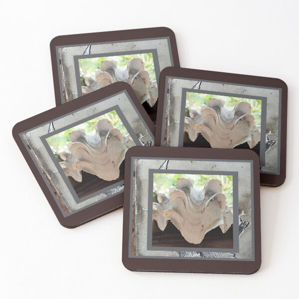 Item preview, Giant clam knows great picture designed and sold by vibeno1.