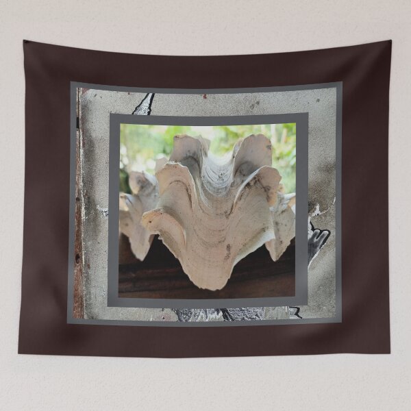 Item preview, Giant clam knows great picture designed and sold by vibeno1.