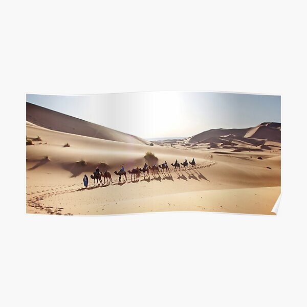 Camels in the Sahara Poster