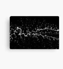 Water Canvas Print